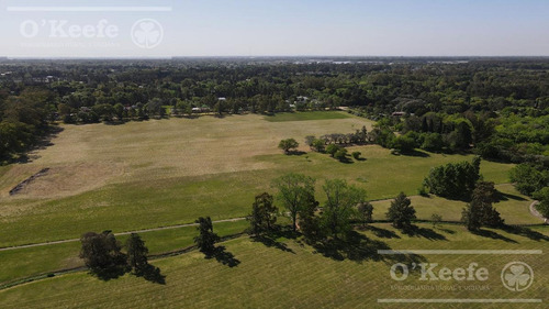 Imagen 7 de 18 de Lote En Venta En El Pato - Barrio Residencial La Vikkina