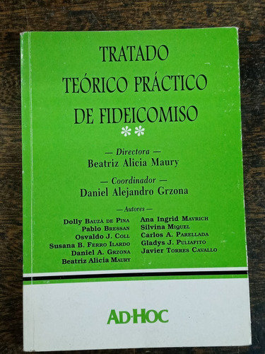 Tratado Teorico Practico De Fideicomiso * Varios Autores * 