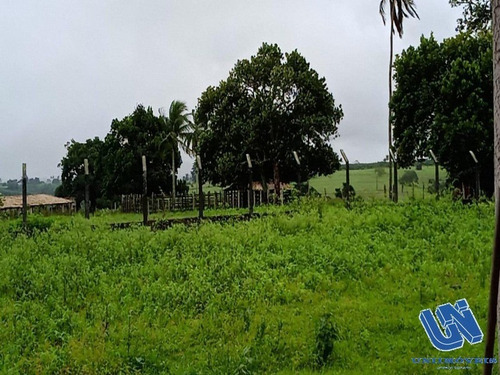 Imagem 7 de 9 de Fazenda Com 92 Tarefas Em São Gonçalo Dos Campos - Bahia - Afd028 - 70496087