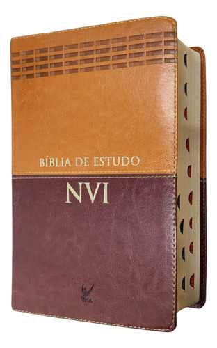 Bíblia De Estudo Nvi Grande Capa Luxo Marrom E Caramelo Com 
