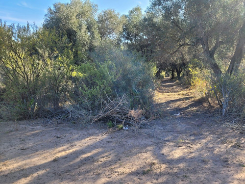 Terreno En San Javier Córdoba Traslasierra Lotes Venta