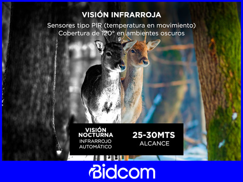 Camara Deportiva Gadnic Caza 4k Visión Nocturna 30 Metros