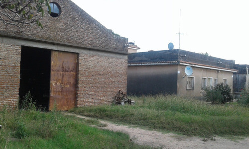 Campo Agricola En Colonia Wilson De 10 Hás