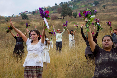 Vida Que Resurge En Las Orillas. Experiencias En Ecatepec