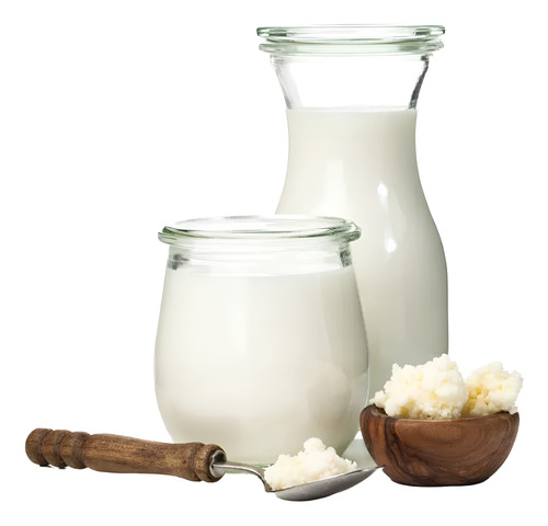 Kefir De Leche (bulgaros) + Kefir De Agua (tibicos)