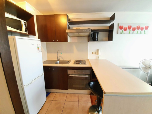 Imagen 3 de 11 de 1 Dormitorio Amoblado Metro Santa Isabel