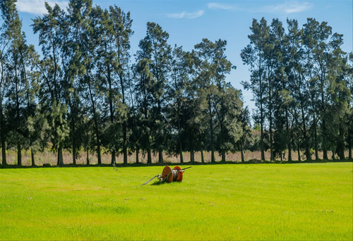 Venta Chacra 28 Ha Abayuba Arroyo Y 2 Tajamares C.rigel