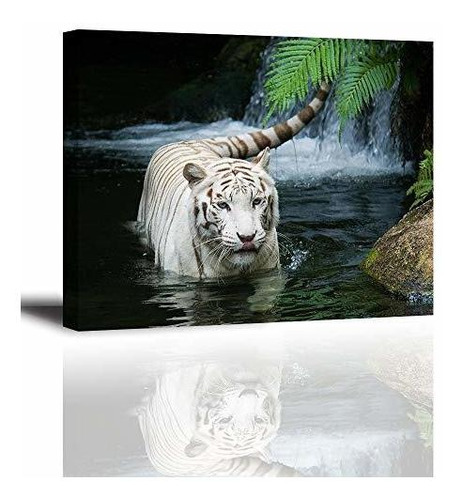 Decoración De Imagen De Tigre Blanco Para Dormitorio, Hermos