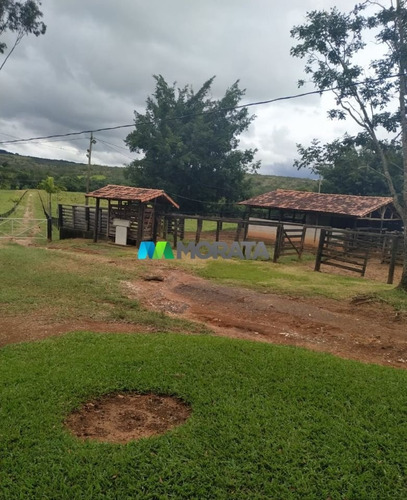 Imagem 14 de 15 de Fazenda - Zona Rural - Ref: 3829 - V-mta3829