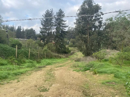 Sitio En Los Pinos