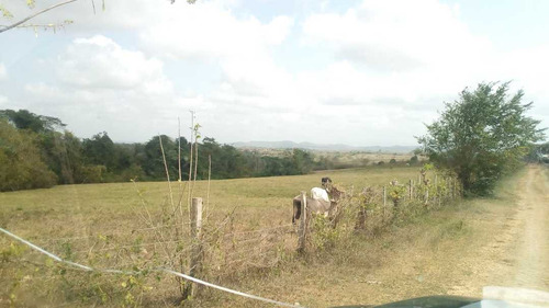 Imagen 9 de 30 de Finca En Mirimire Estado Falcon De 941 Hectáreas
