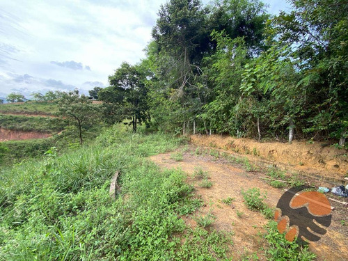 Imagem 6 de 8 de Chácara À Venda, 10000 M² Em Guarapari - Es. - Ch0014