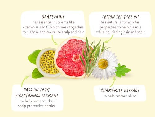 Shampoo Purificador De Melaleuca Com Limão E Toranja