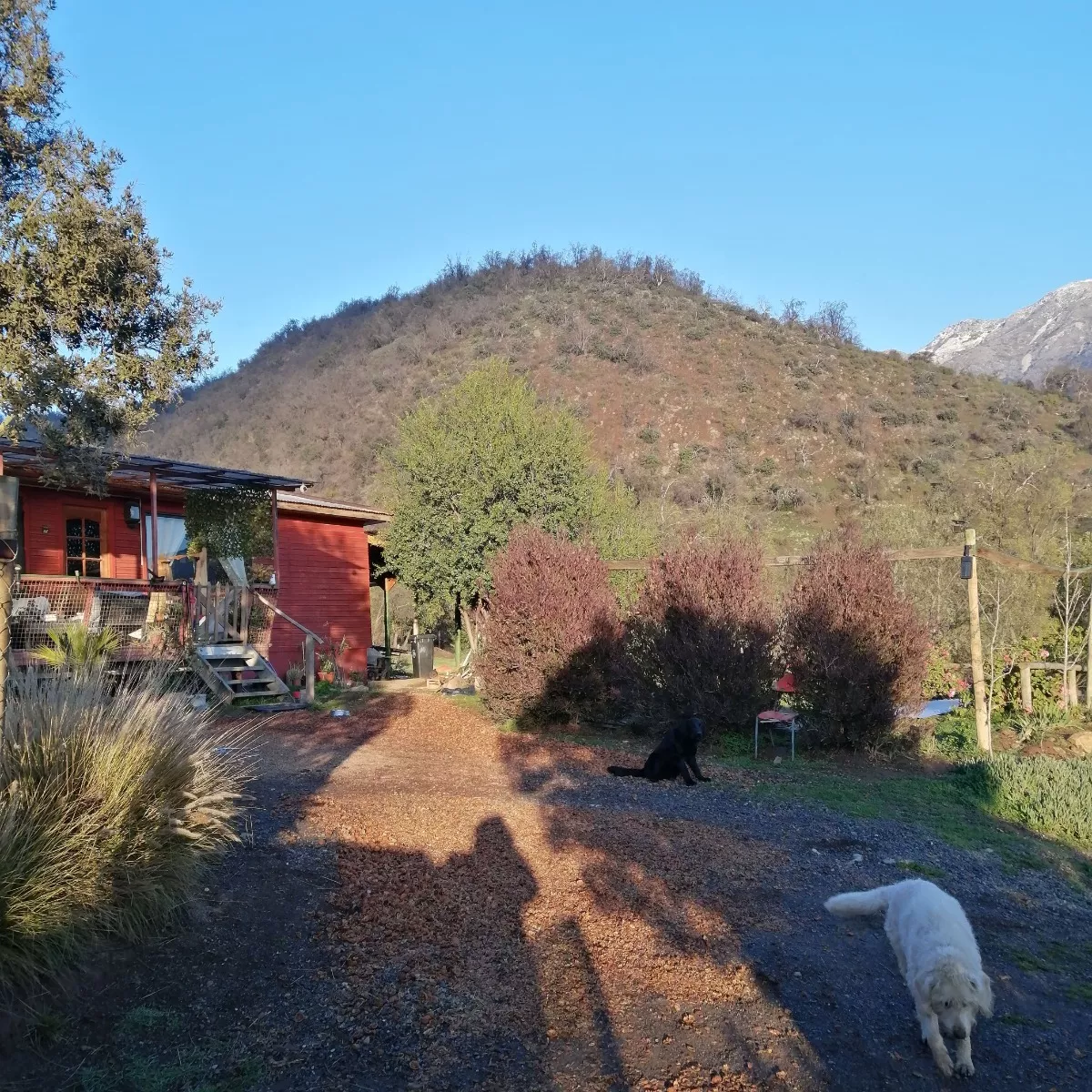 Parcela Con Casa Y Piscina