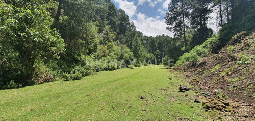 Imagen 3 de 18 de Terreno En Venta.