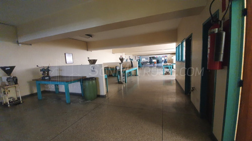 Imagen 19 de 29 de Edificio Local Comercial Deposito Oficina En Alquiler Zona Ind De La Trinidad