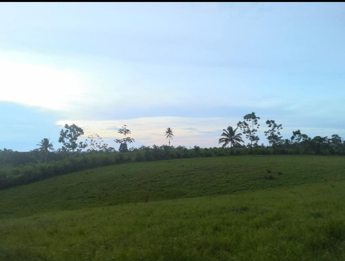 Imagen 5 de 9 de Lote De 5000 M²