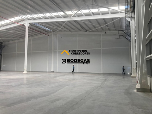 Arriendo Bodega De 1.200 M2 En P. Industrial Enea, Pudahuel.
