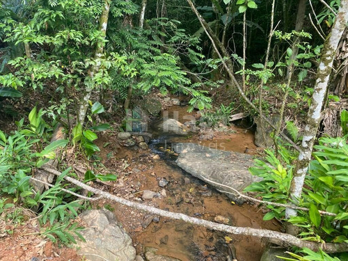 Imagem 15 de 17 de Terreno À Venda No Bairro Moura - Canelinha/sc - 2171t