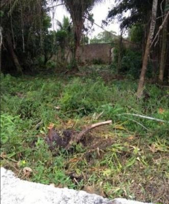Imagem 4 de 7 de Terreno No Jd Umuarama Com 170 M², Em Itanhaém/sp | 5973-pc