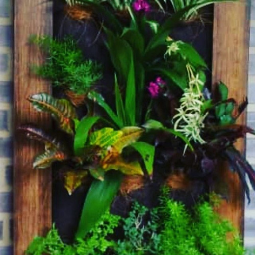 Jardines Verticales Barquisimeto