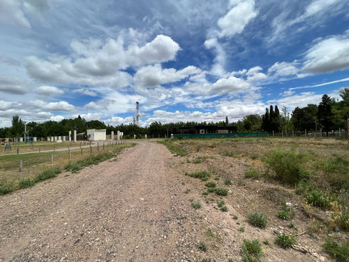 Imagen 10 de 11 de Venta Terreno 600 Mts Las Catalpas
