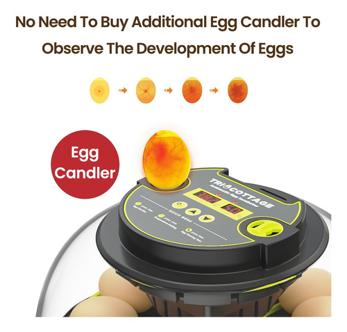 Incubadora 12 Huevos Marca Xyz Modelo Abc Giro Automático