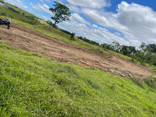 Imagem 21 de 24 de M01- Oportunidade De Ter Sua Casa No Campo