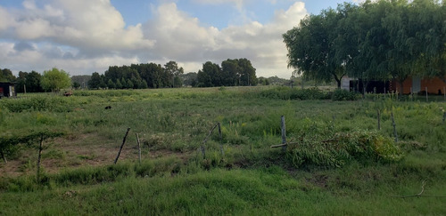 Imagen 9 de 9 de Venta Lote Terreno Pavón General Lavalle Garita 3