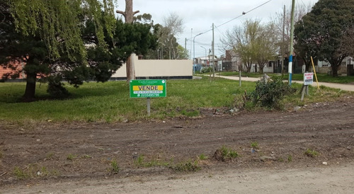 Terreno / Lote En Venta De 209m2 Ubicado En Los Pinares