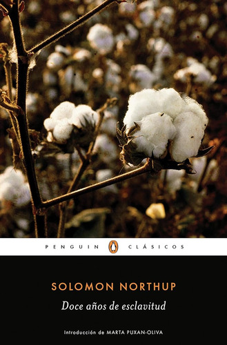 Doce Años De Esclavitud (penguin Clásicos) / Solomon Northup