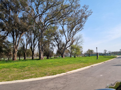 Venta, Lote A La Laguna, San Juan Chico Al 100