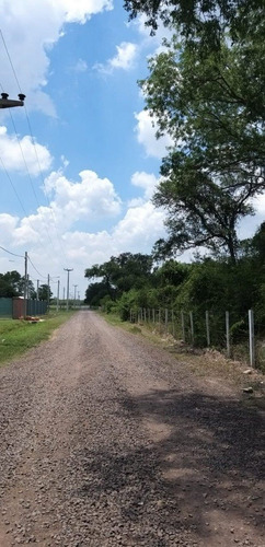 Imagen 12 de 18 de últimos Terrenos En Venta En San Andrés. Colonia Benítez