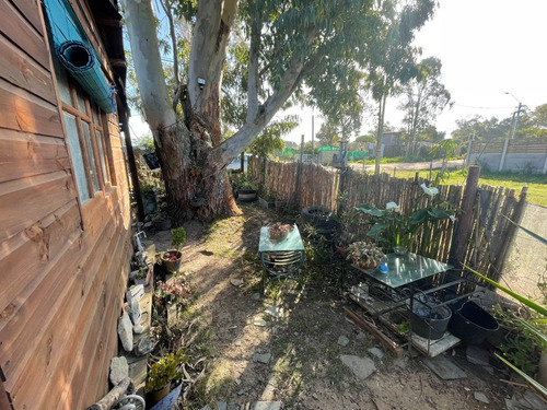 Imagen 8 de 22 de Venta 2 Casas 2 Dormitorios Balneario Buenos Aires Maldonado