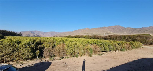 Vendo Terrenos En El Valle Del Elquin Coquimbo