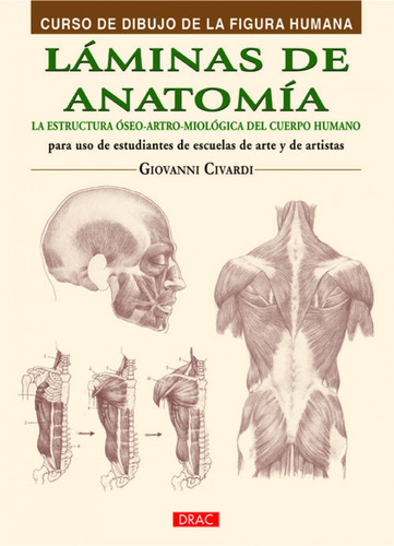 Láminas De Anatomía