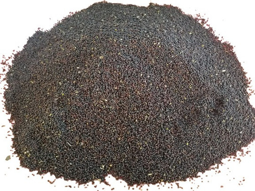 Semilla De Mostaza Negra 3 Kg Agranel