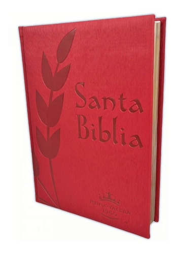 Imagen 1 de 6 de Biblia Familiar De Lujo Letra Gigante Diccionario Roja Rvr60
