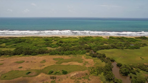 Imagen 14 de 19 de Vende Terreno En Chichiriviche Norte