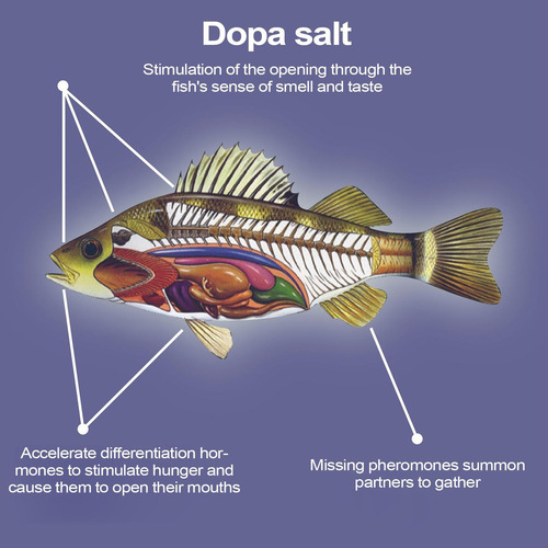Atrayentes De Pesca Líquido Aditivo Para Cebo De Pesca Señue