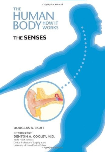 The Senses (human Body How It Works)