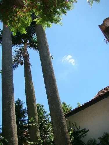 Excelente Oportunidade Para Você, Venha Conhecer Este Magnífico Imóvel No Bairro São Lucas E Surpreenda-se Com Esta Oferta. - 17708