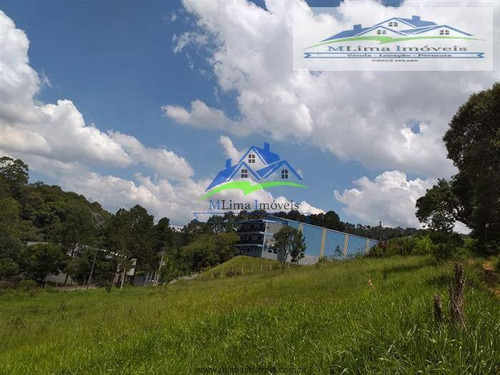 Imagem 4 de 11 de Área Industrial Ou Comercial Em Terra Preta / Mairiporã - 579