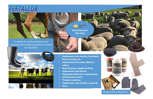 Intermedia Para Casco Equino