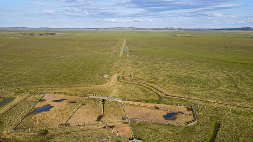 Venta Campo 740 Hás Rocha Agrícola Ganadero R 7085 (ref: Atm-7085)