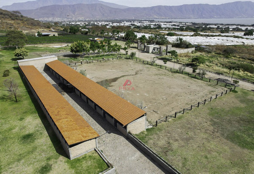 Terrenos En Venta En Jocotepec, Jal