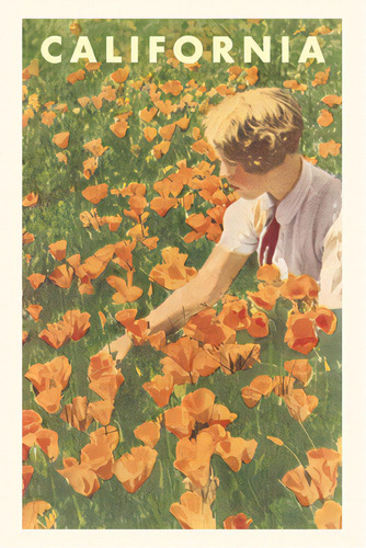 The Vintage Journal Woman Sitting In Field Of California Poppies, De Found Image Press. Editorial Found Image Pr, Tapa Blanda En Inglés