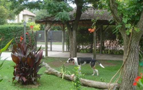 Imagen 11 de 14 de Casaquinta Ubicada En El Corazon Del Barrio Parque Canning!