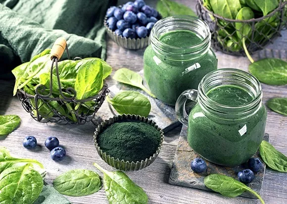 Tercera imagen para búsqueda de alga espirulina