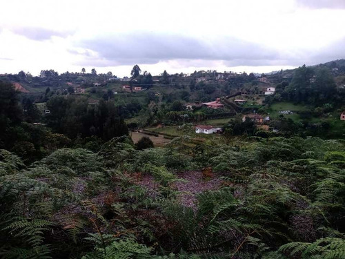 Imagen 8 de 13 de Lote Guarne En Venta A 900 Mts De La Variante Aerp Jmc 3.200 Mts ²